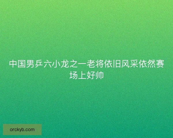 中国男乒六小龙之一老将依旧风采依然赛场上好帅