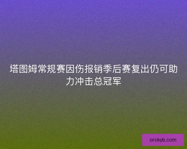 塔图姆常规赛因伤报销季后赛复出仍可助力冲击总冠军